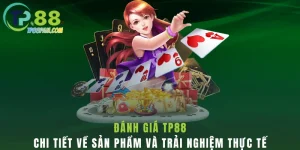 Đánh giá tp88